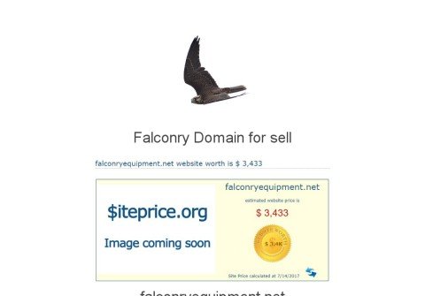 falconryequipment.net thumbnail