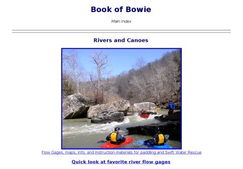 bookofbowie.net thumbnail