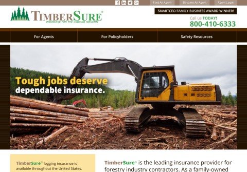 timbersure.net thumbnail