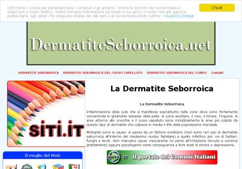 whois dermatiteseborroica.net