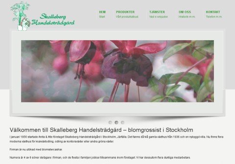 skalleberg.net thumbnail