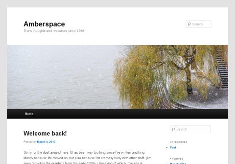 amberspace.net thumbnail