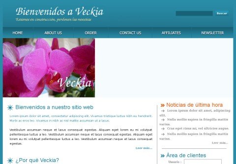 veckia.net thumbnail