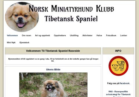 nmhk-tibetanskspaniel.net thumbnail