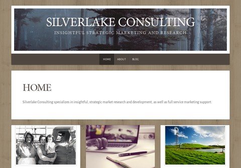 silverlakeconsulting.net thumbnail