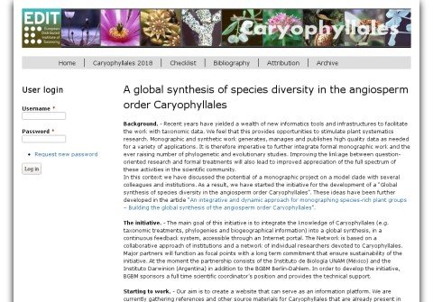 caryophyllales.net thumbnail