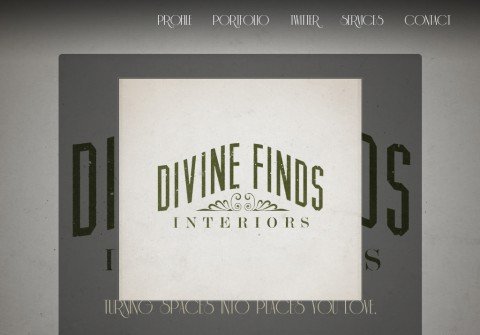 divinefindsinteriors.net thumbnail