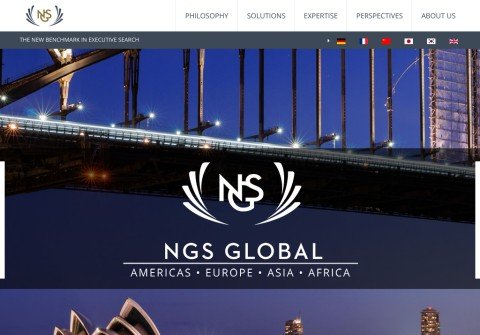 whois ngs-global.net