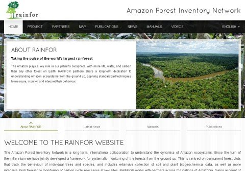 rainfor.org thumbnail