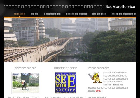 seemoreservice.org thumbnail