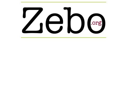 zebo.org thumbnail