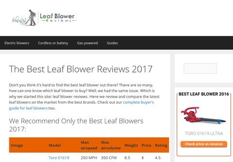 leafblowerreviews.net thumbnail
