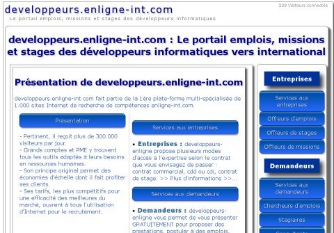 developpeurs-enligne.com thumbnail