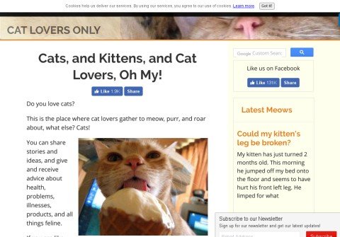 cat-lovers-only.com thumbnail