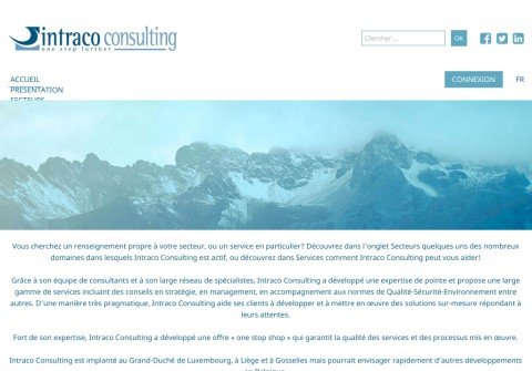 intraco-consulting.com thumbnail
