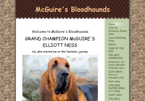 mcguiresbloodhounds.com thumbnail