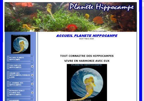 planete-hippocampes.com thumbnail