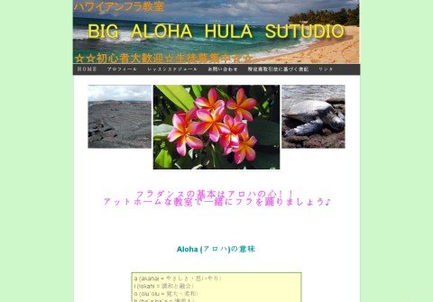 big-aloha-hula.com thumbnail
