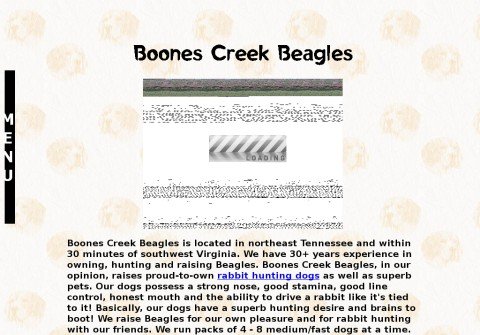 boonescreekbeagles.com thumbnail