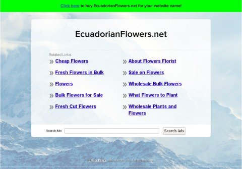 whois ecuadorianflowers.net