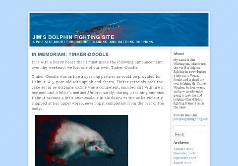 dolphinfighting.com thumbnail