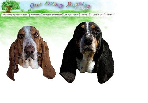 ourflyingpuppies.com thumbnail