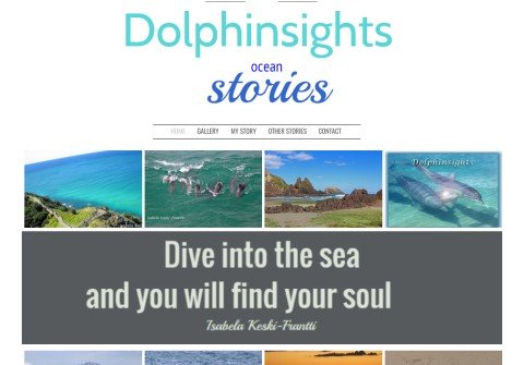 dolphinsights.com thumbnail