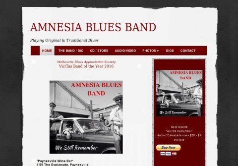 amnesiabluesband.com thumbnail
