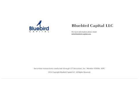 bluebird-capital.com thumbnail