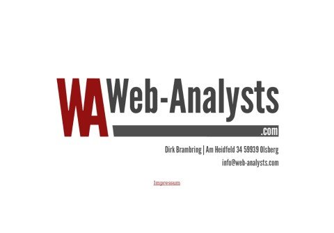 web-analysts.com thumbnail