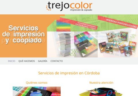 trejocolor.com thumbnail