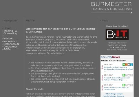 burmester-consulting.com thumbnail