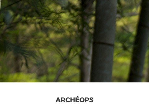 archeops.com thumbnail