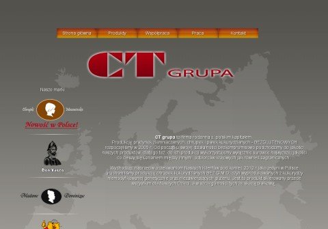 ctgrupa.com thumbnail