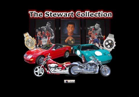thestewartcollection.com thumbnail