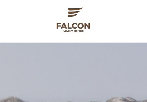 falconfin.com thumbnail