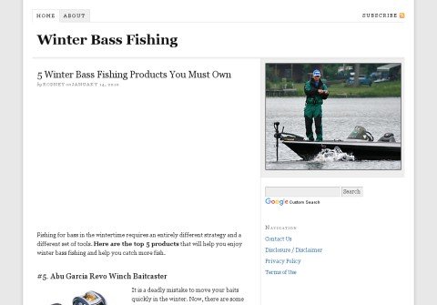 winterbassfishing.com thumbnail