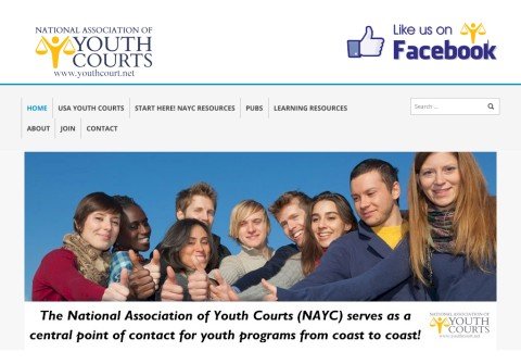 youthcourt.net thumbnail