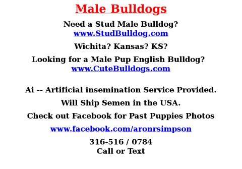 malebulldogs.com thumbnail